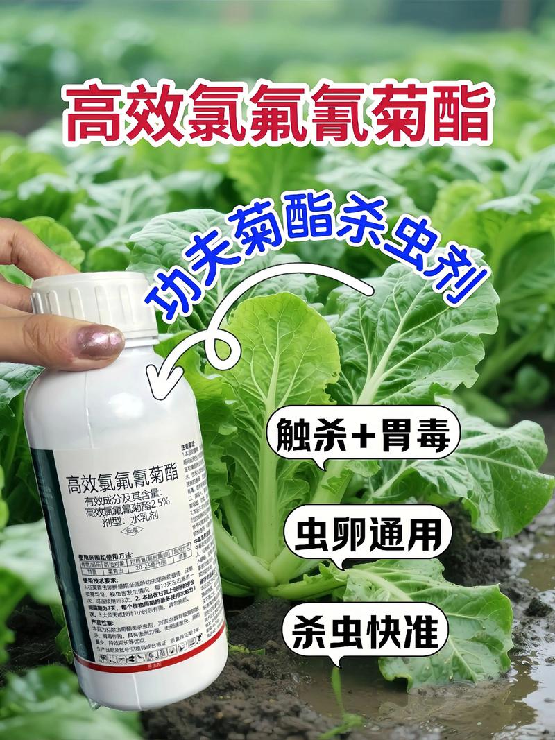 呼和浩特代生中心:农药对供卵代生妈妈的危害